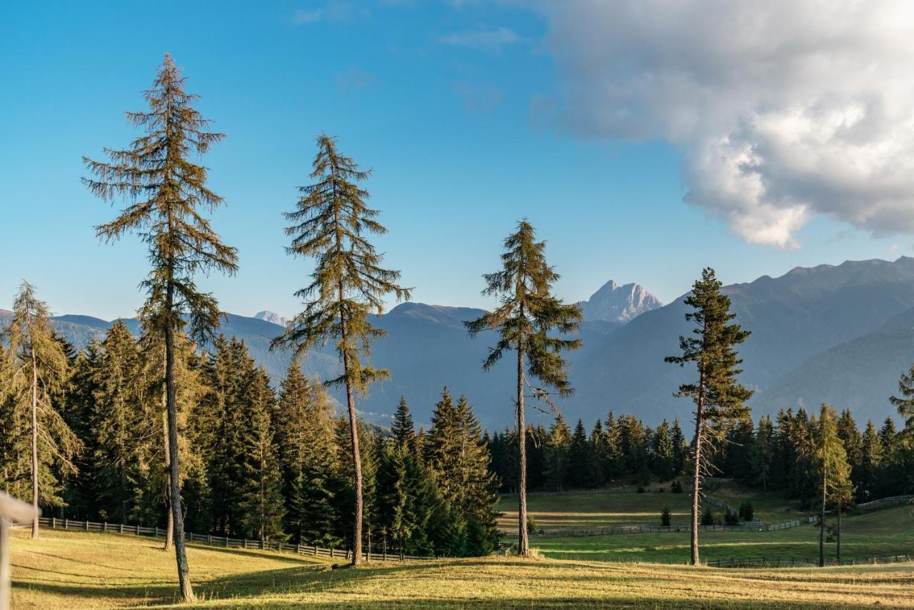 Oberhauser Huette Rodenecker - Luesner Alm ลูซอน ภายนอก รูปภาพ